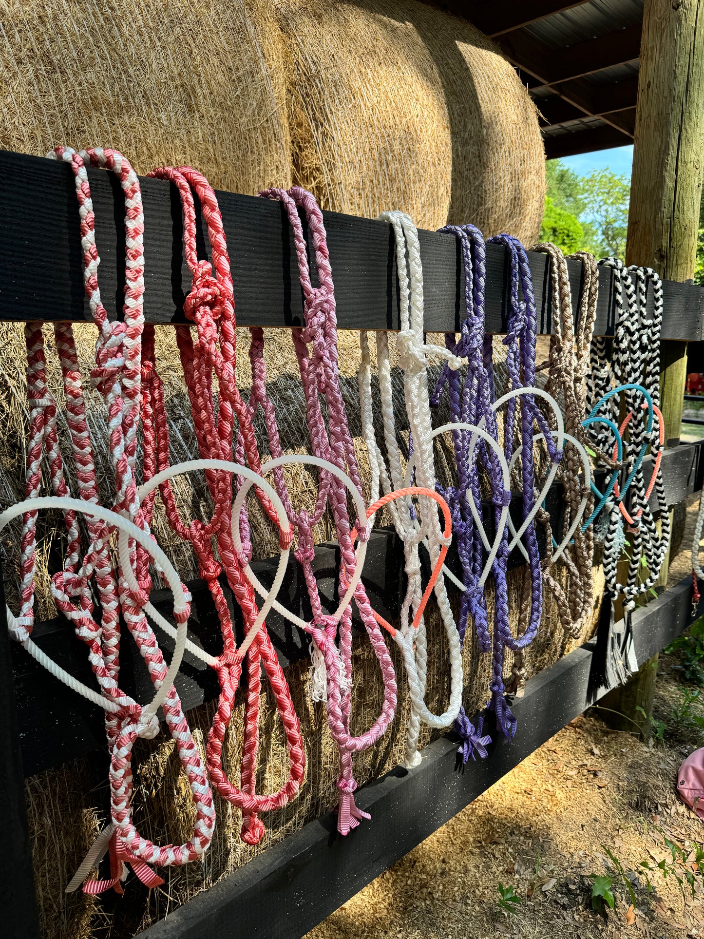 Mule Tape Halter