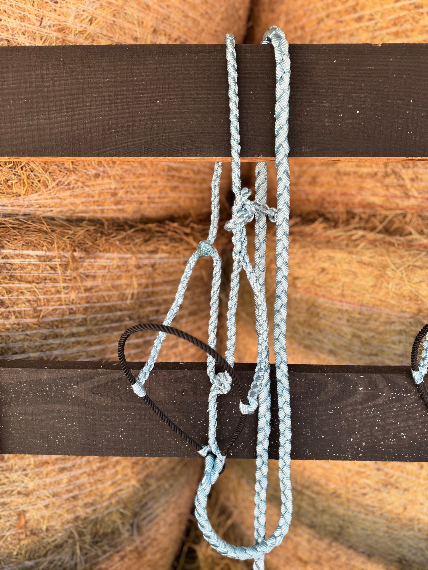 Mule Tape Halter