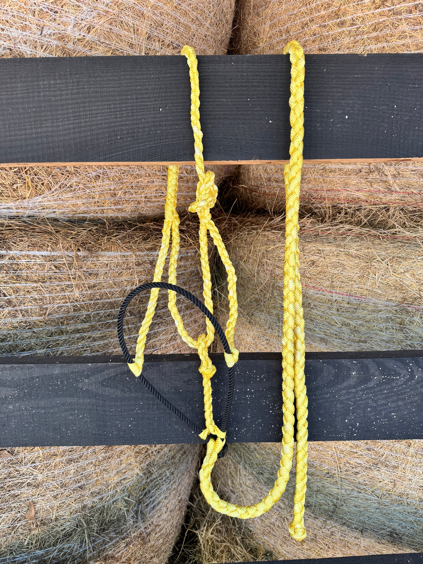 Mule Tape Halter