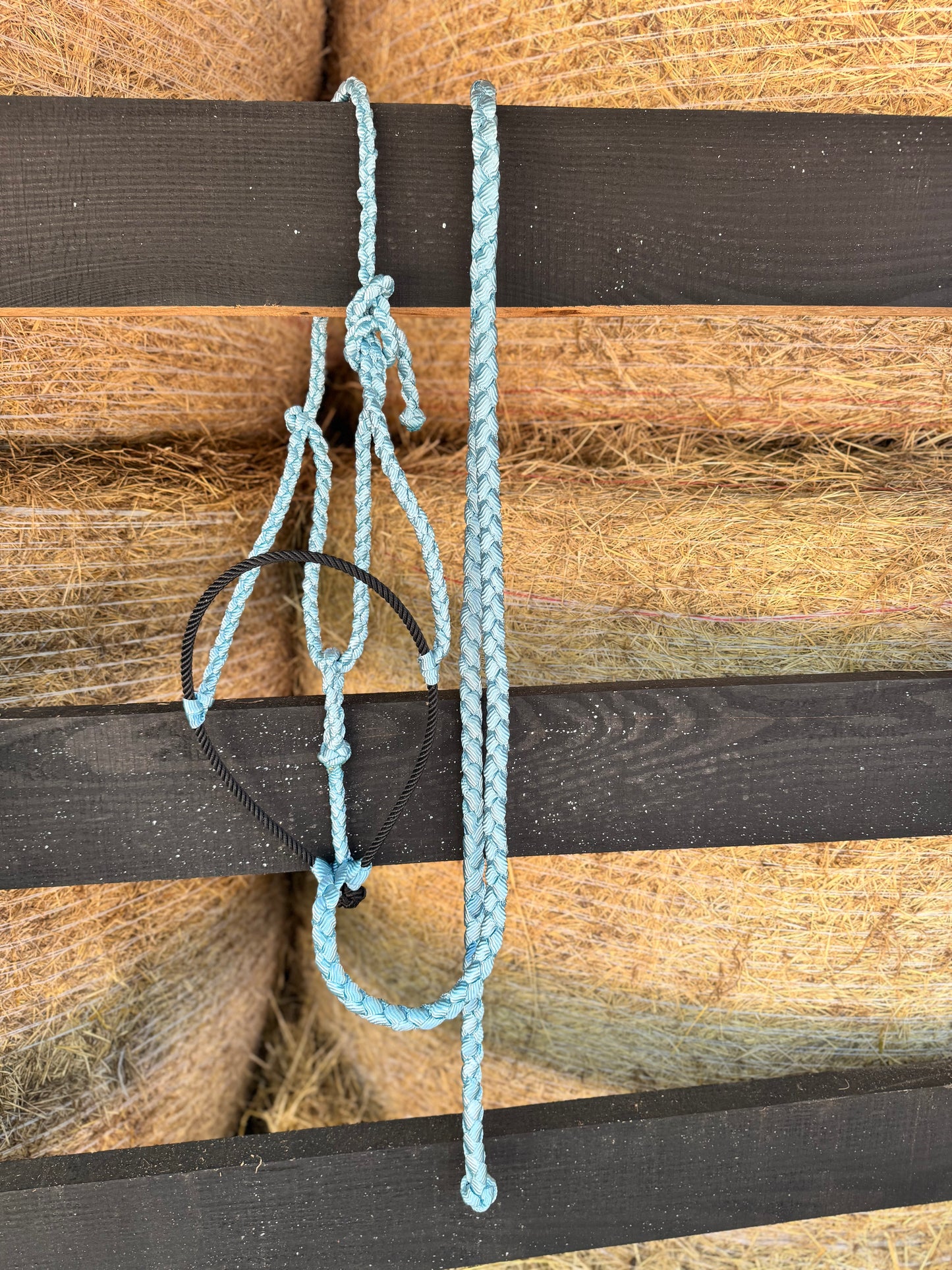 Mule Tape Halter